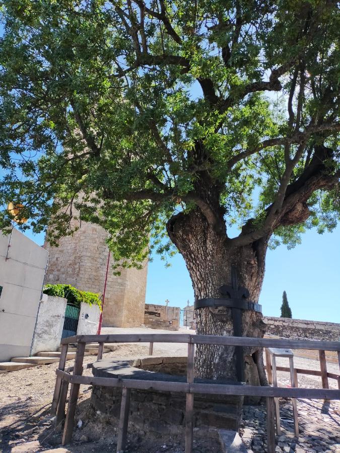 Casa Do Conselheiro Villa Freixo de Espada à Cinta Екстериор снимка